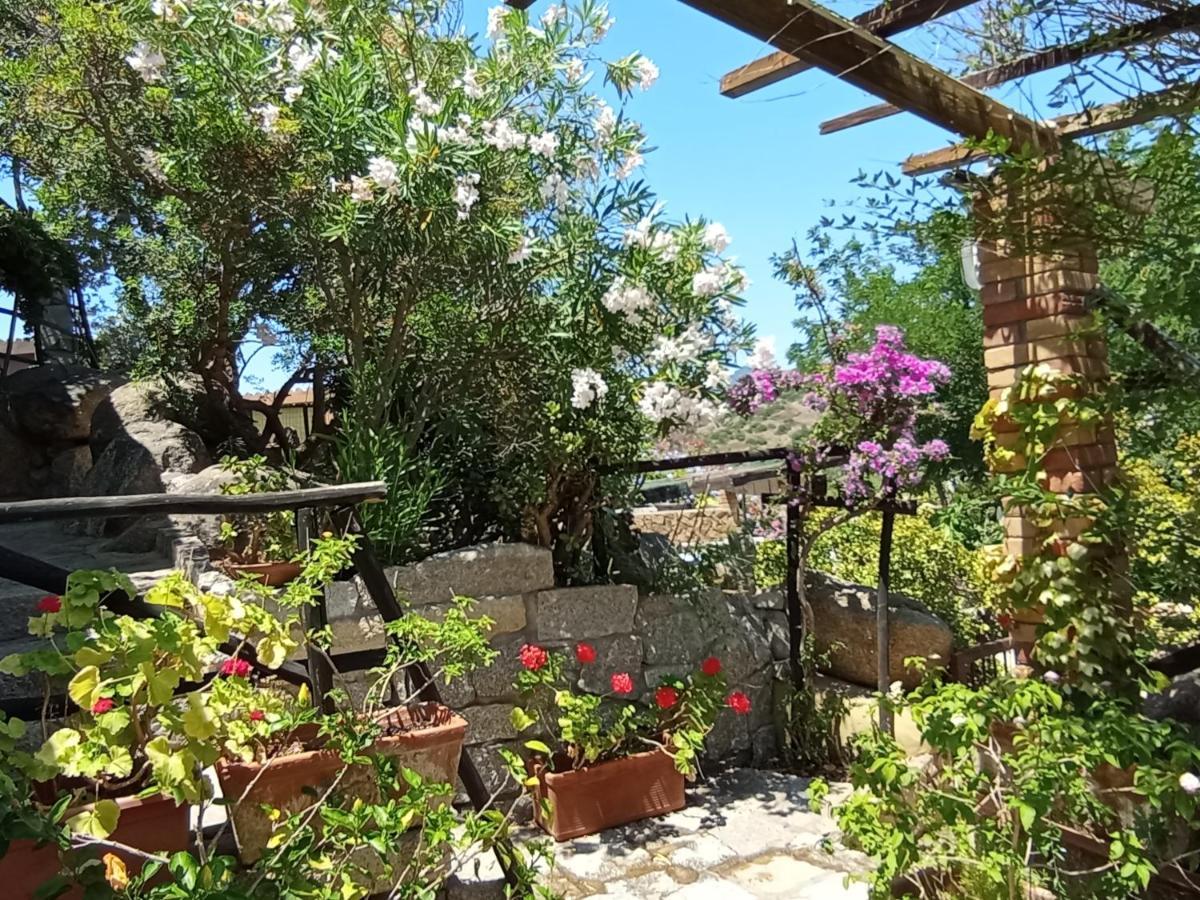 Villa Milena Villasimius, Wifi Gratuito, Ampio Giardino A 300 M Dal Mare Екстериор снимка